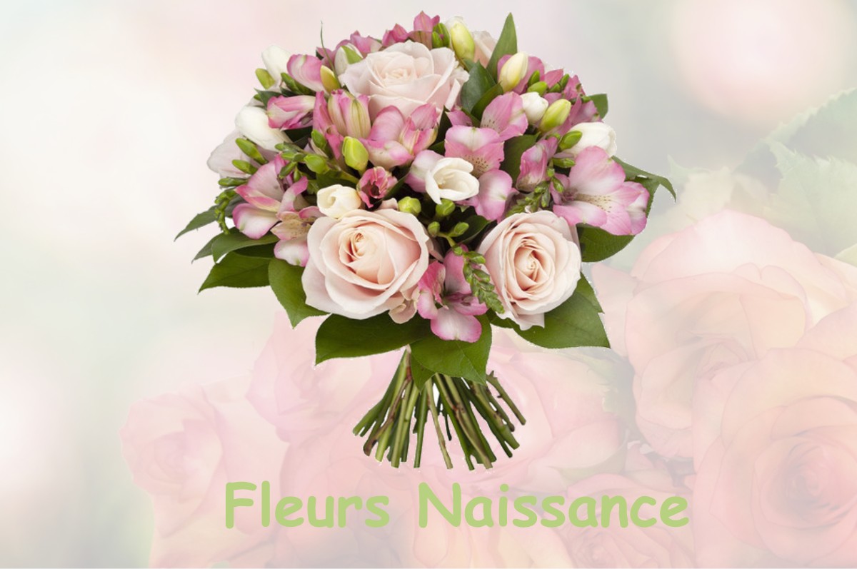 fleurs naissance SAINT-MAURICE-DES-NOUES
