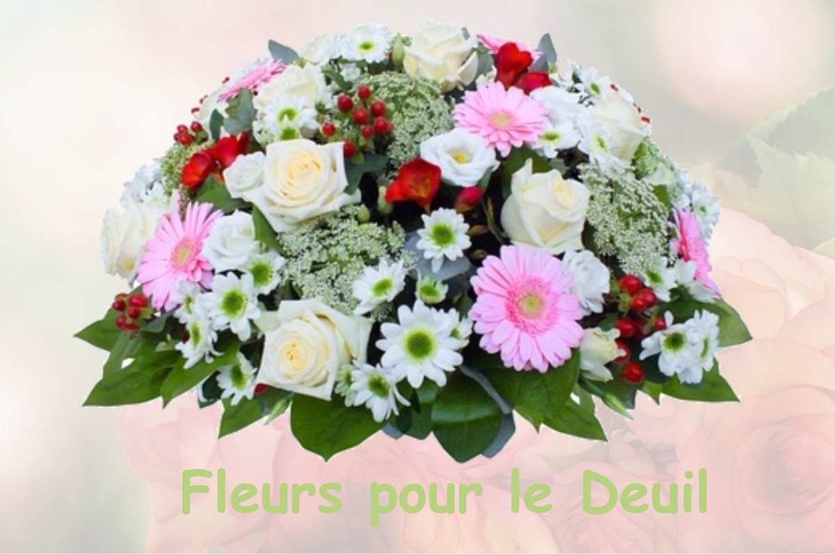 fleurs deuil SAINT-MAURICE-DES-NOUES